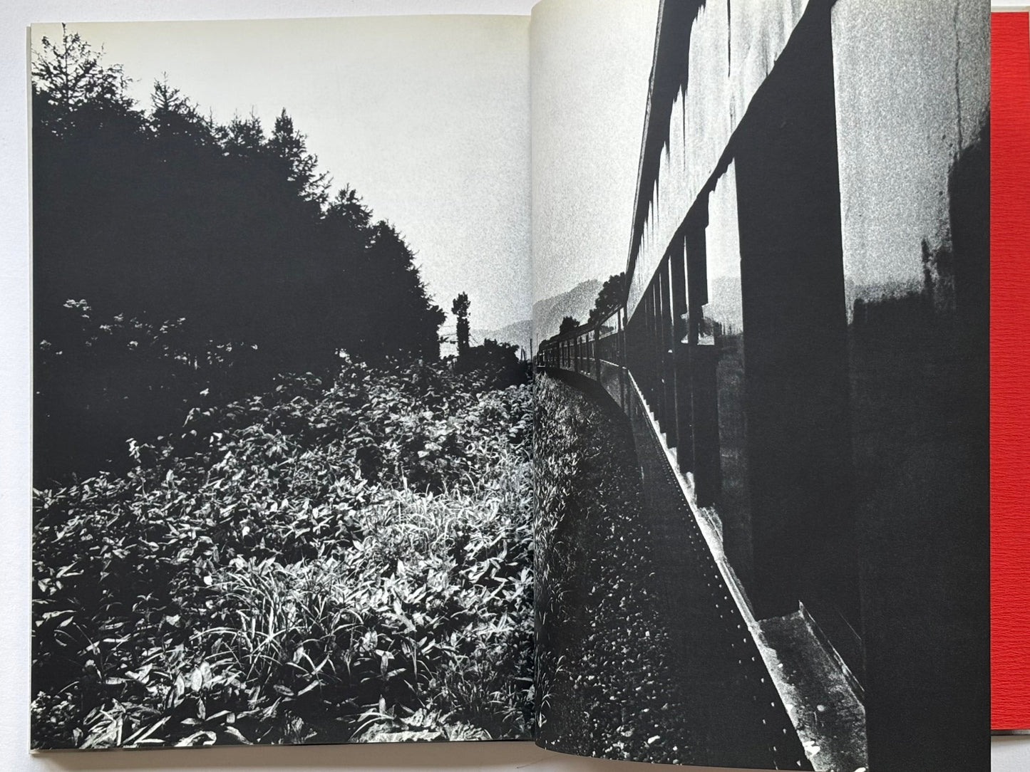 Gestation of a dream. (SIGNED)
