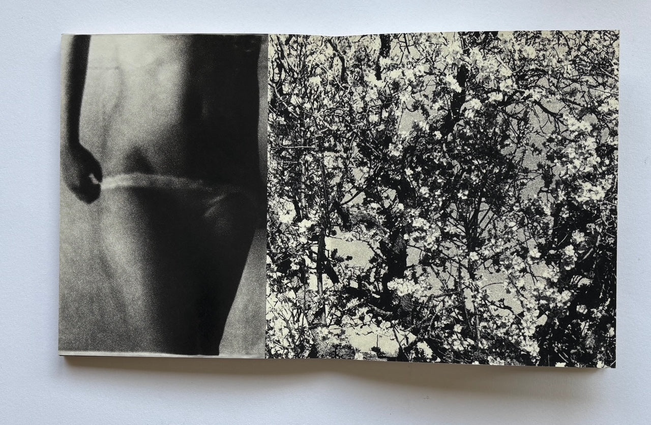 Corps et arbres
