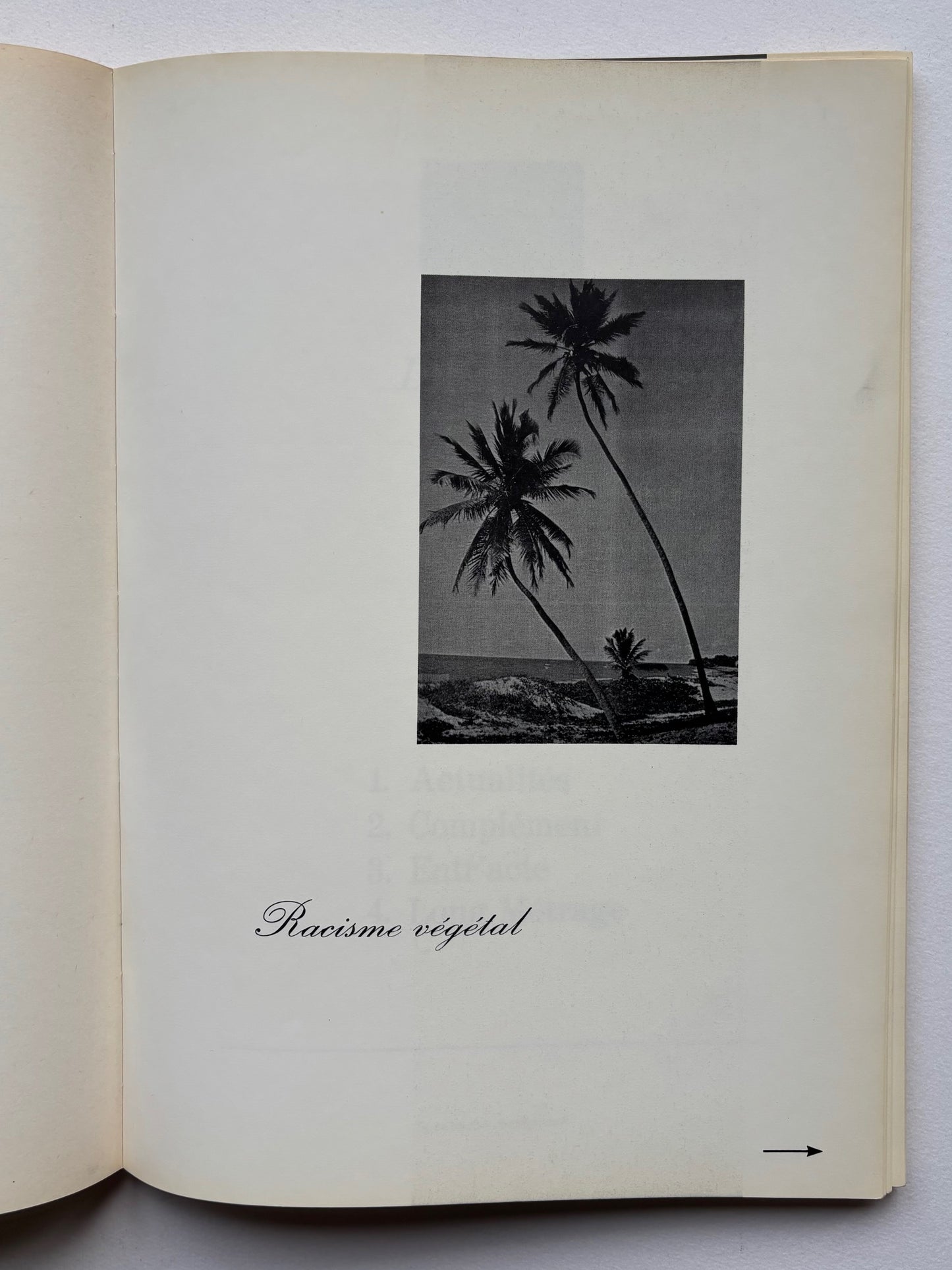 Interfunktionen no. 11. Revue des Travaux Théoriques et Practiques / Paper for New Visual and Verbal Works : Zeitschrift für neue Arbeiten und Vorstellungen no1/1