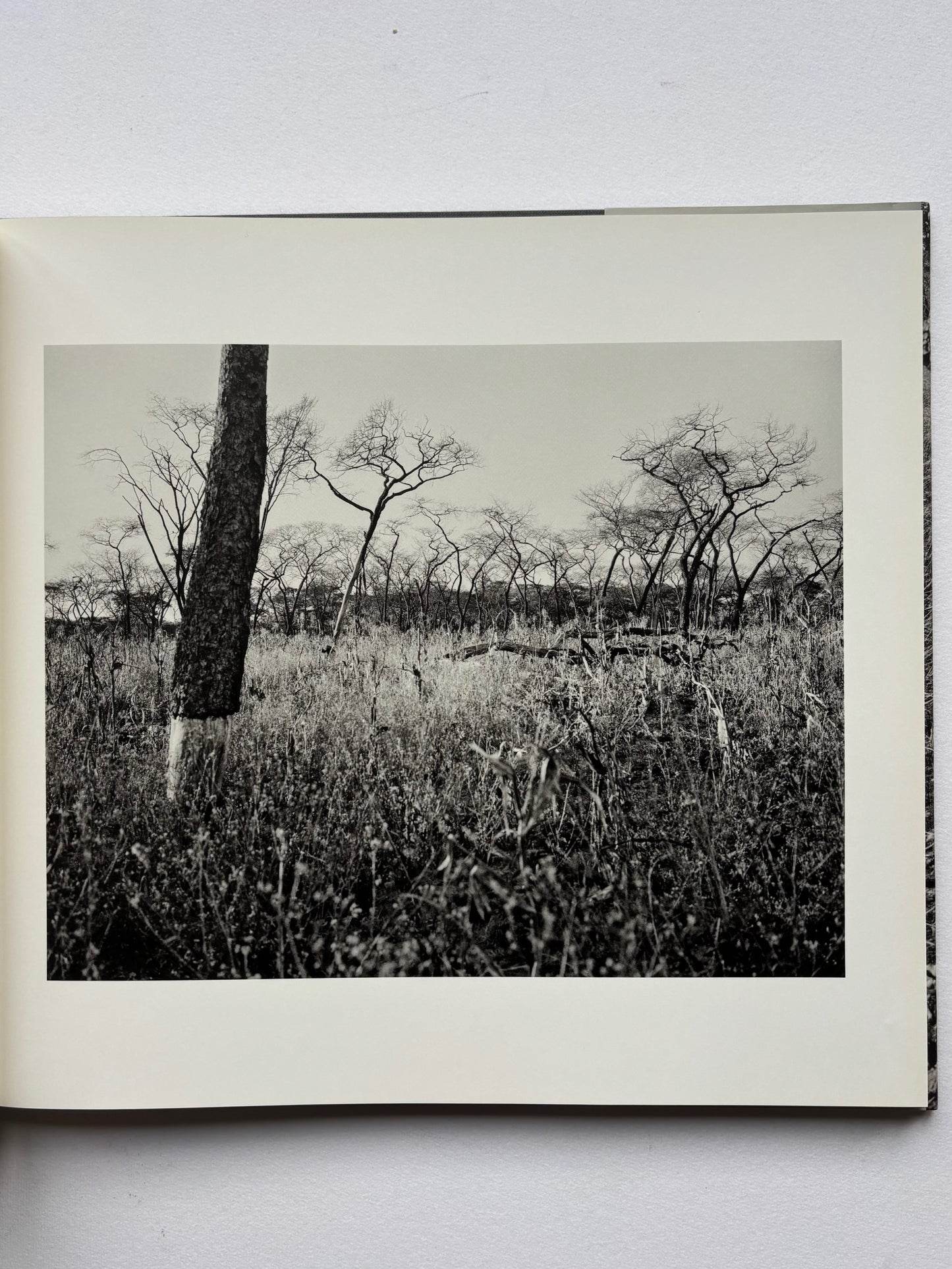 As Terras do Fim do Mundo. The lands of the End of the World. (SIGNED COPY)