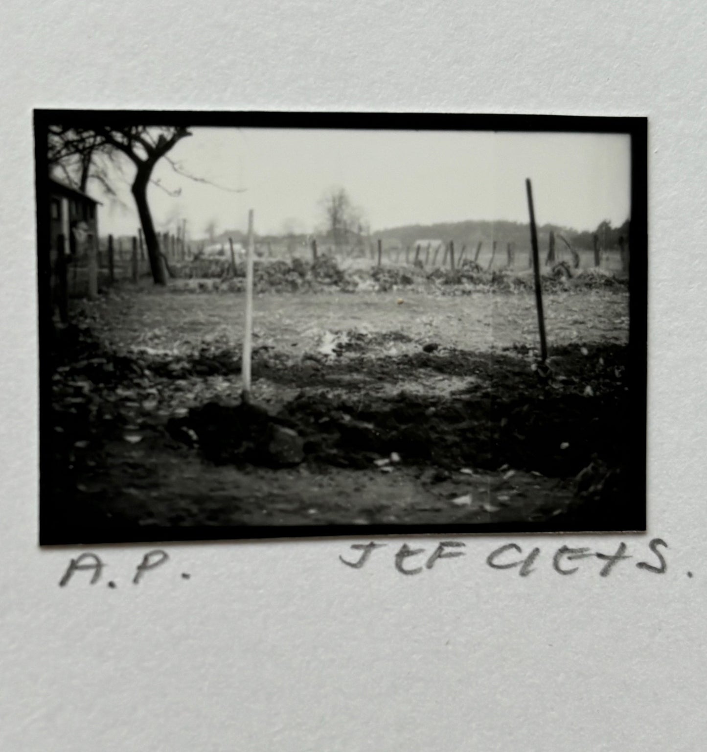 Al de zwart-wit foto’s tot 1998