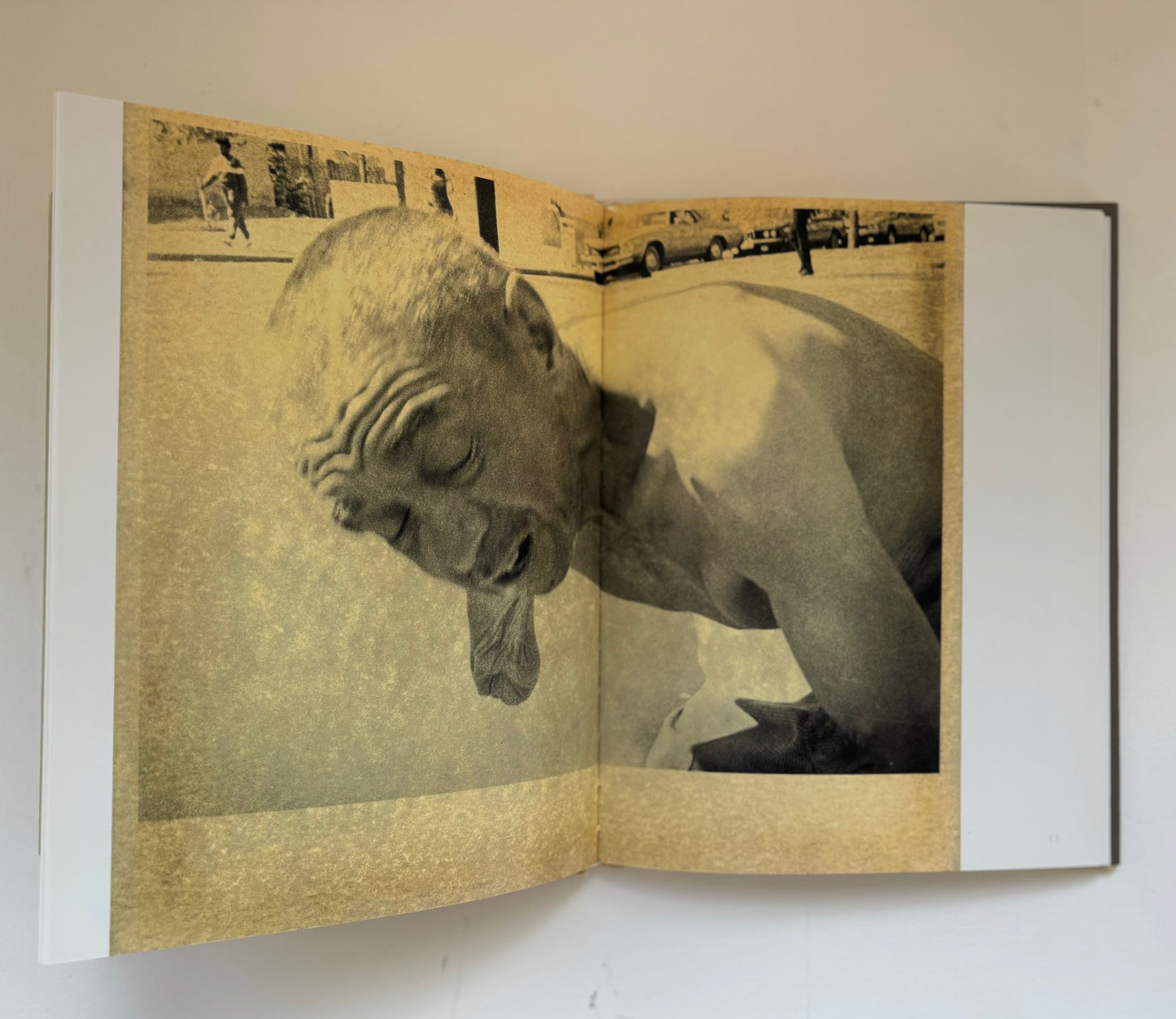 Inner City. Essay by Ann Tucker.