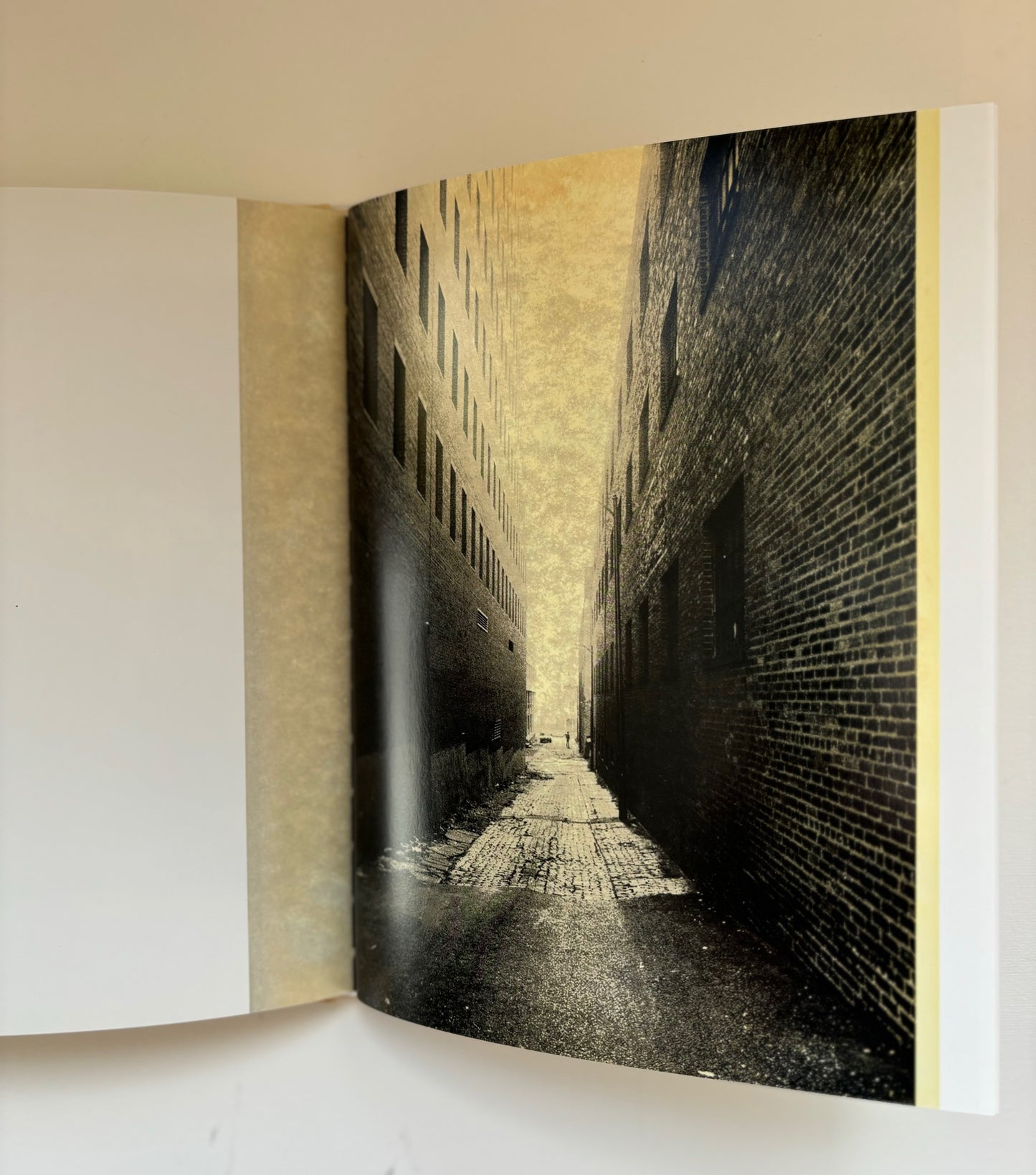 Inner City. Essay by Ann Tucker.