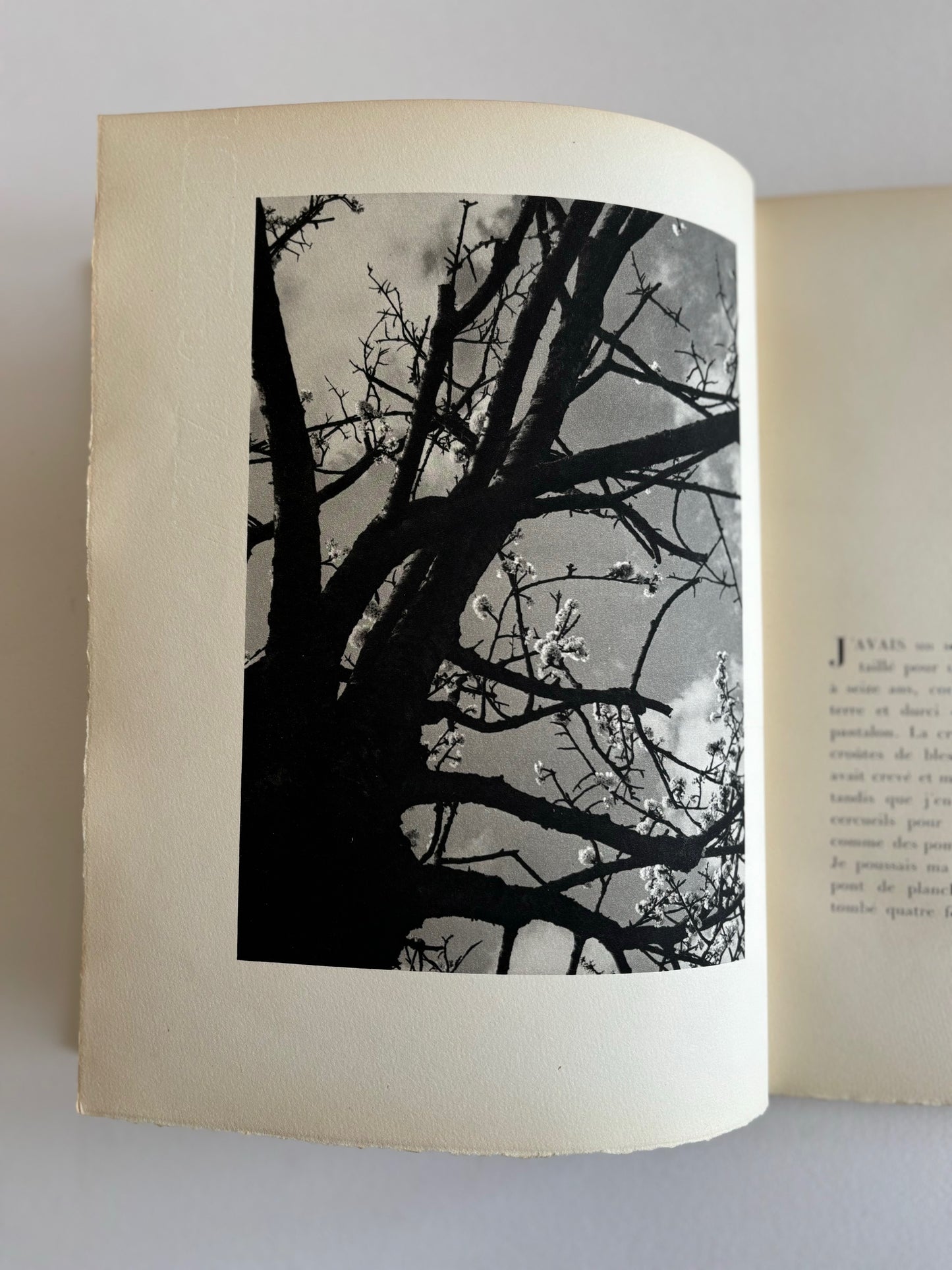 Terre. Vingt textes illustrés de trente photographies de l’auteur. (Dedicated, Signed).
