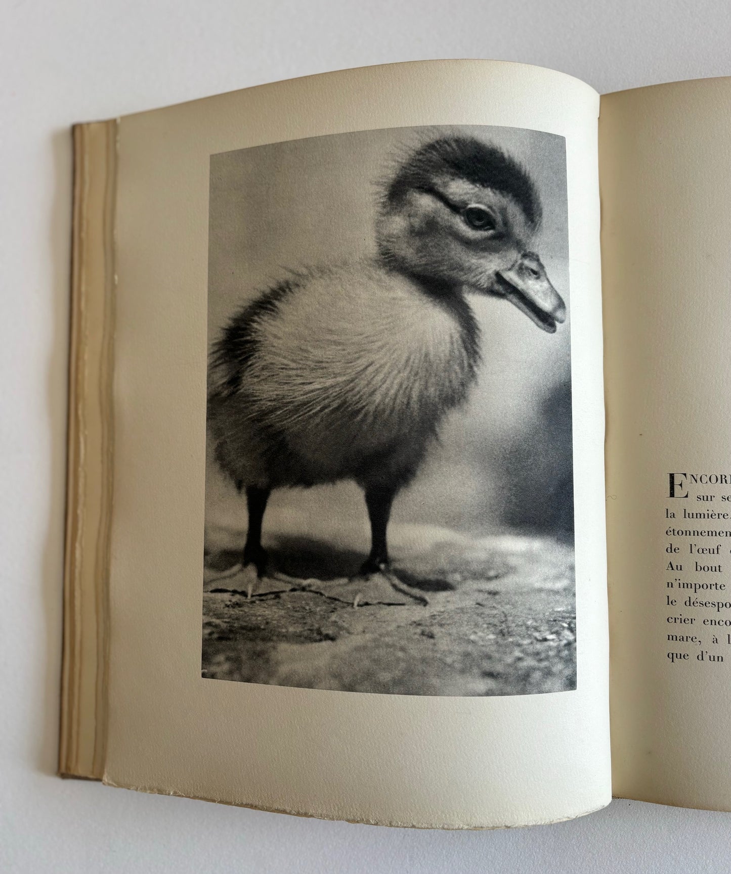 Terre. Vingt textes illustrés de trente photographies de l’auteur. (Dedicated, Signed).