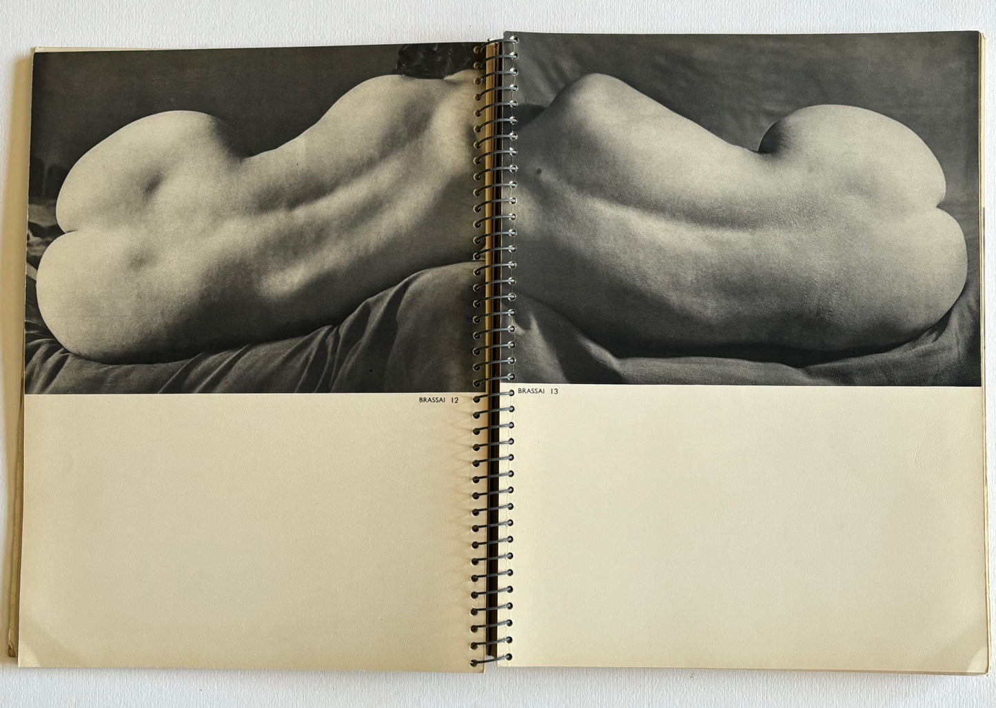(coll.) Formes Nues.