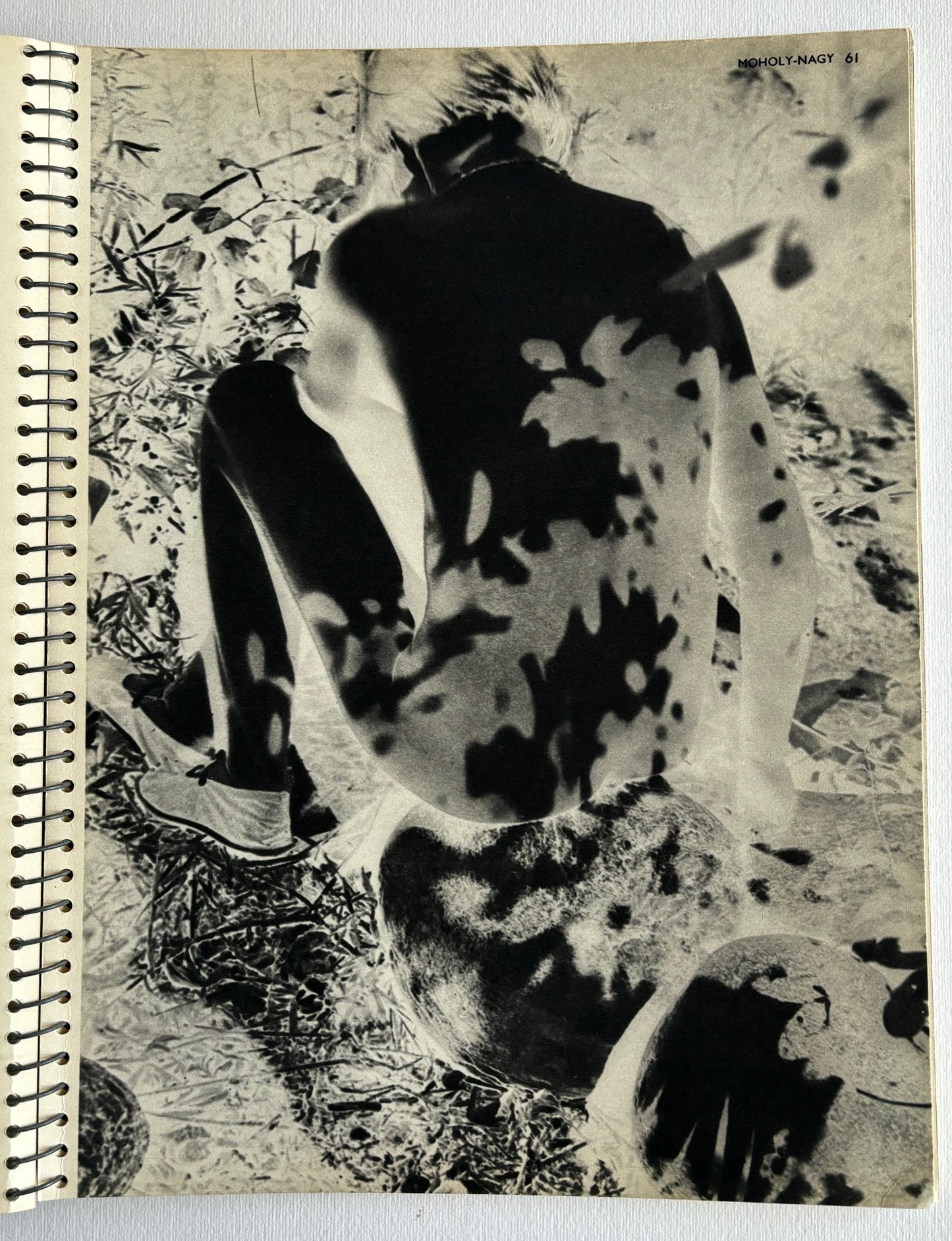 (coll.) Formes Nues.