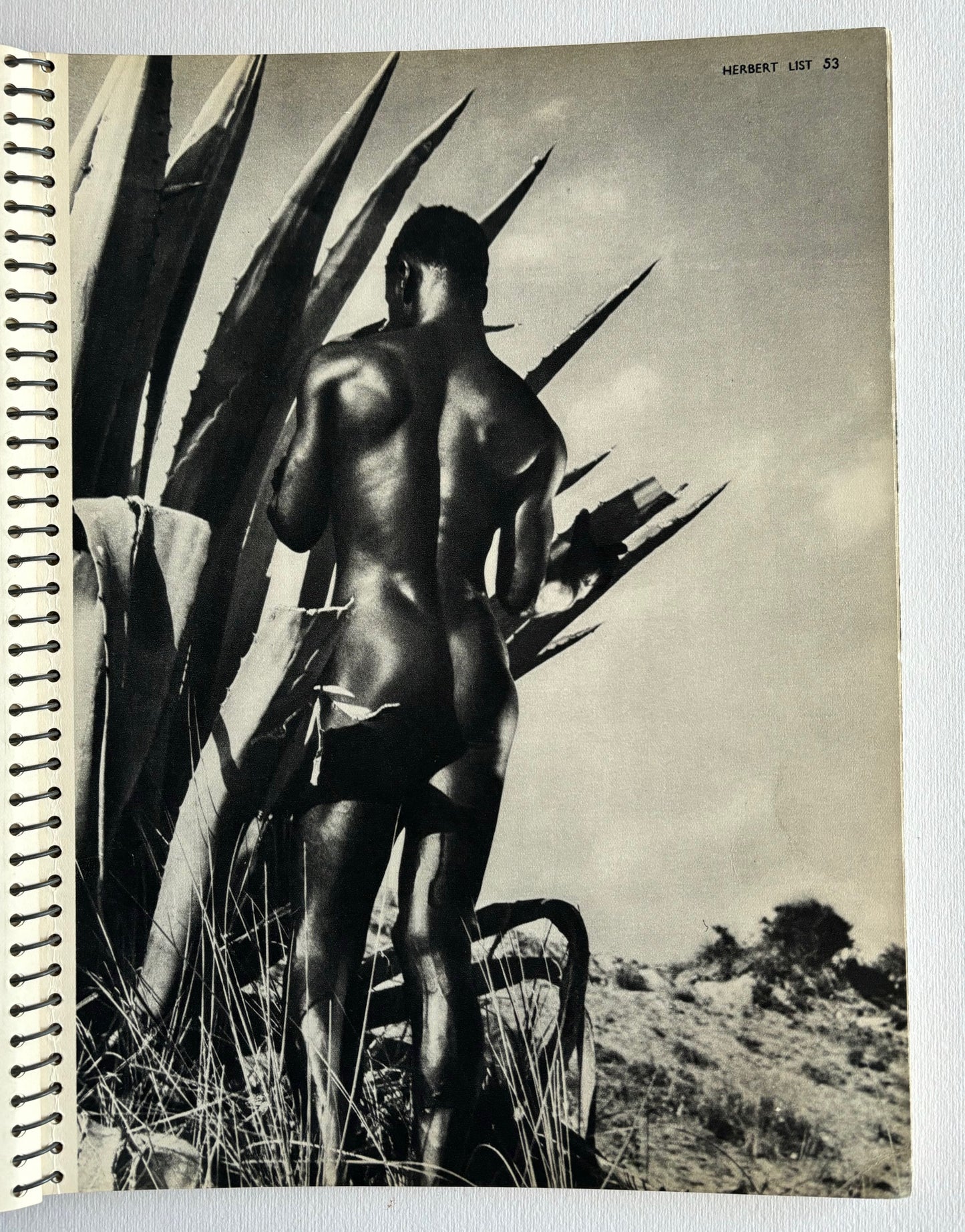 (coll.) Formes Nues.