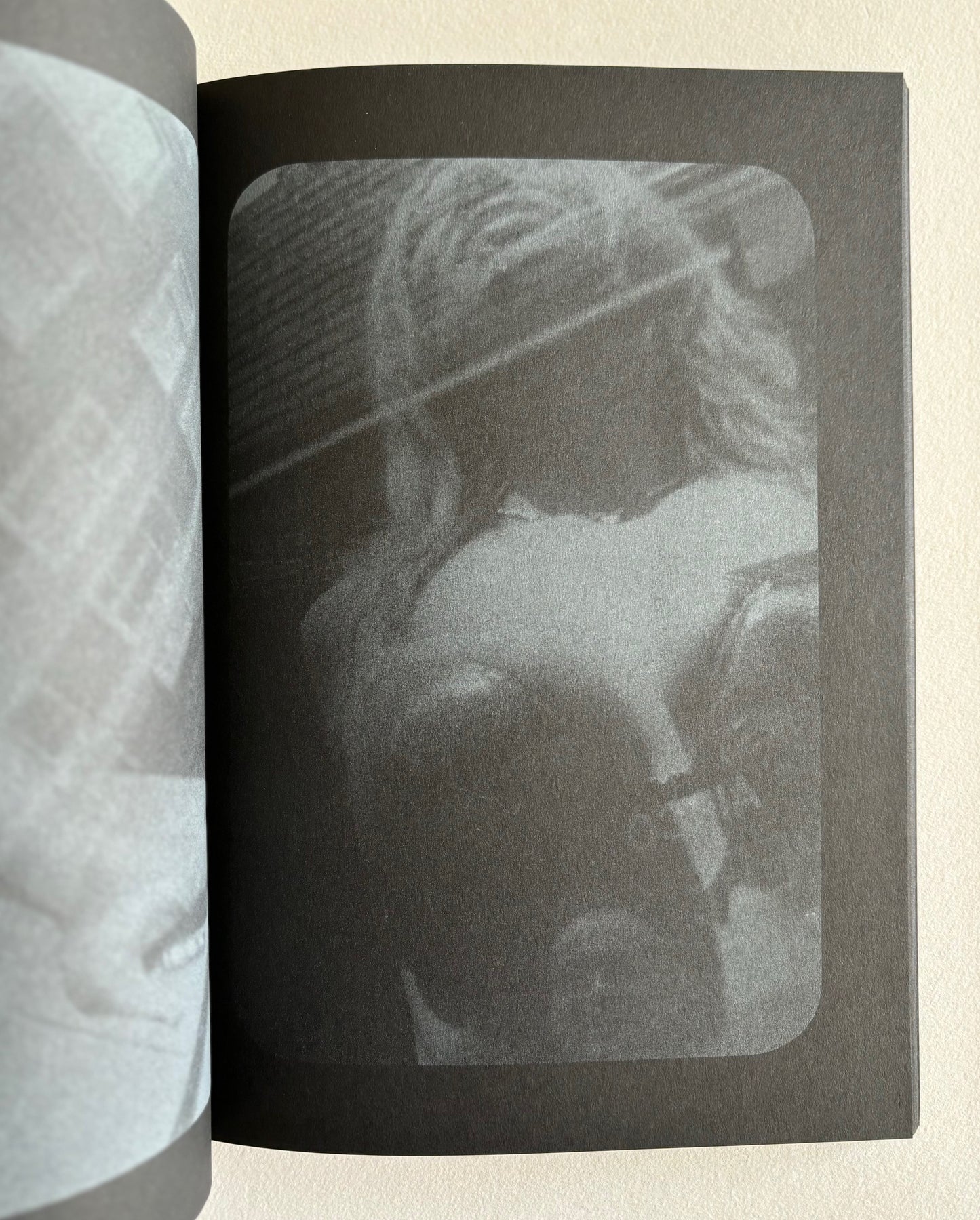 No Photos. (SIGNED)
