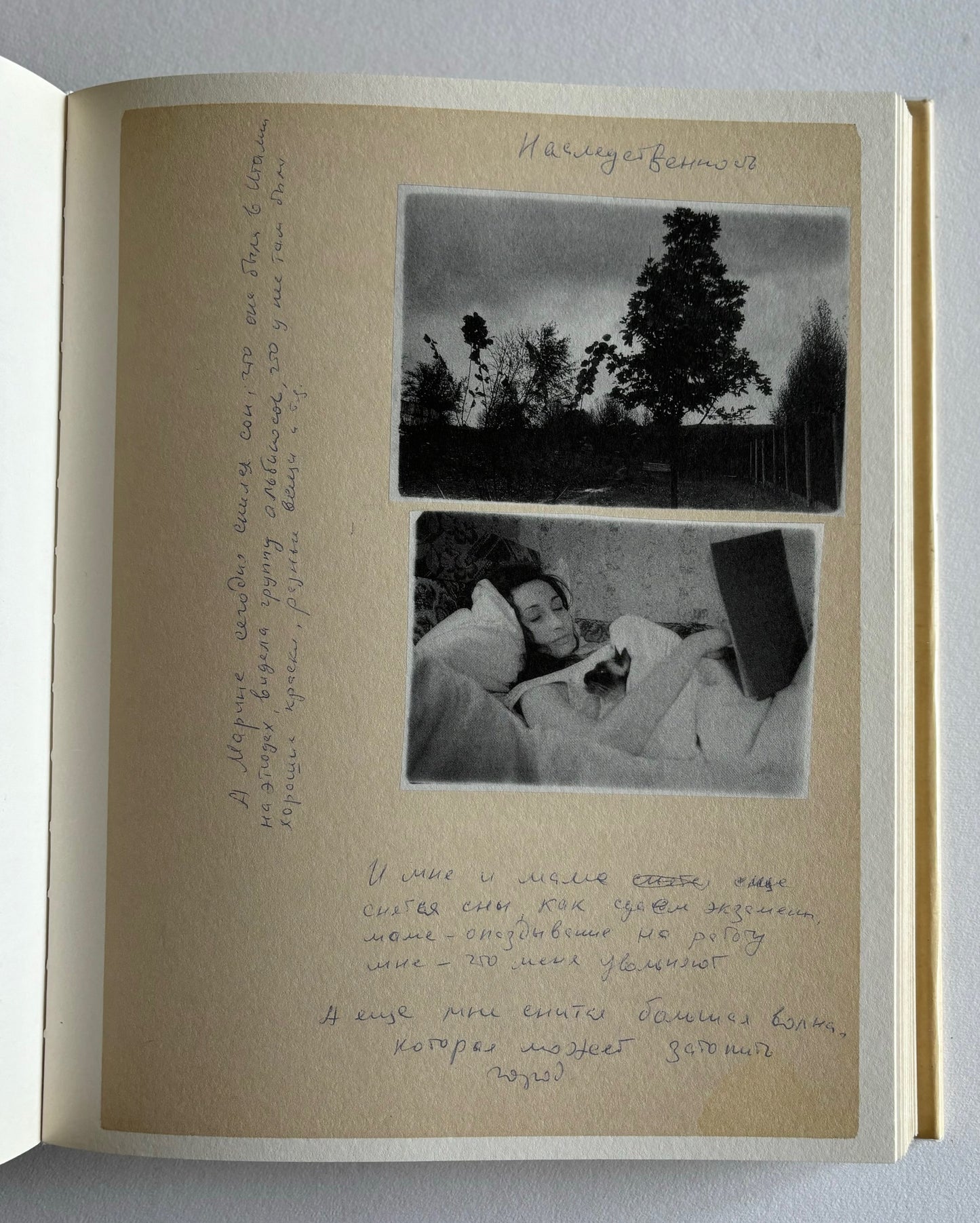 Unfinished Dissertation or dicussions with oneself.