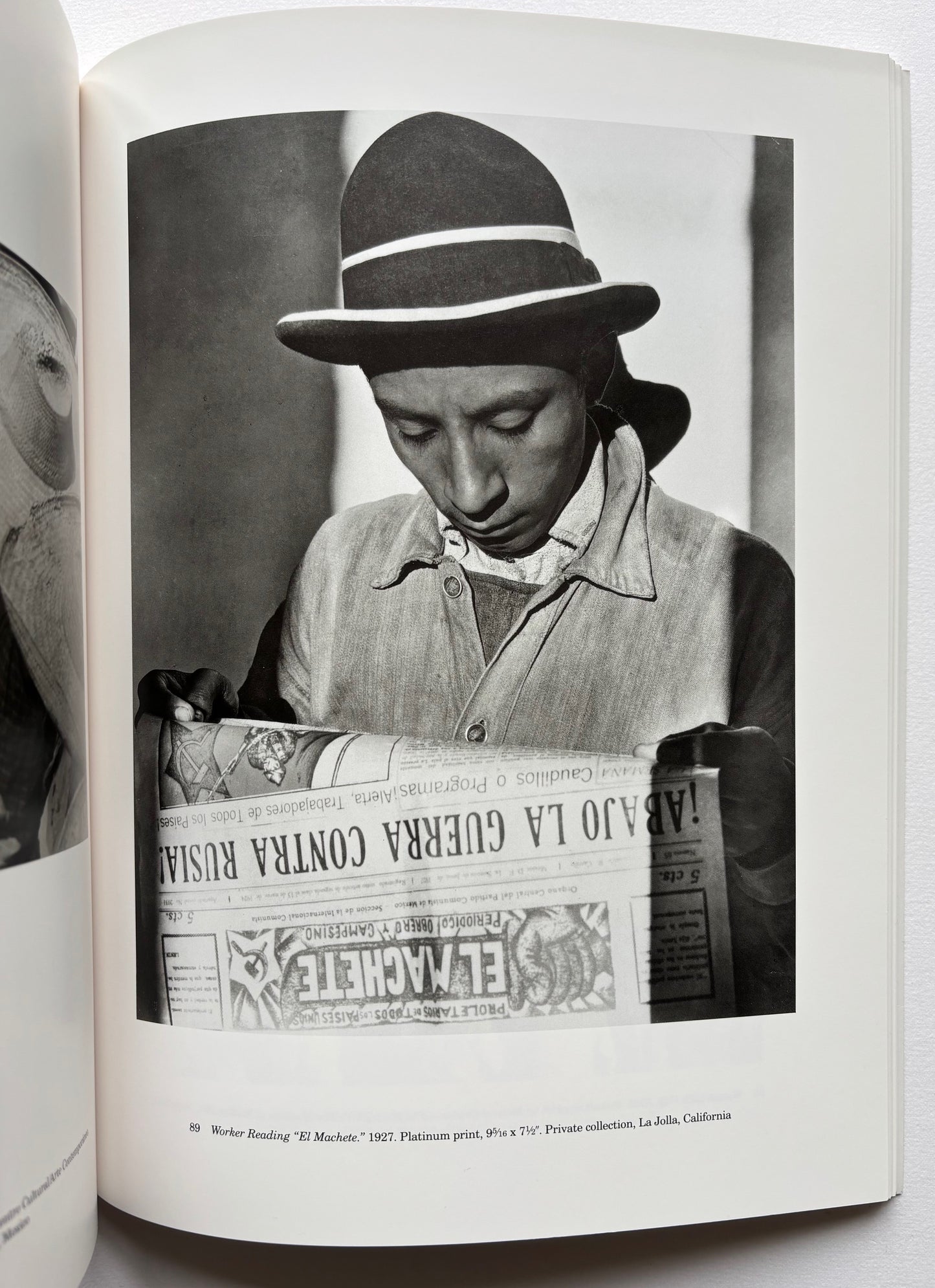Sarah M. Lowe. TINA MODOTTI Photographs.