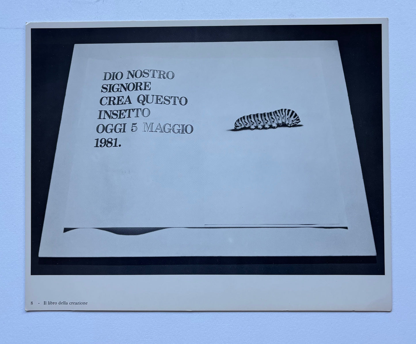 Piccolo Notturno di solitudine e di grazia per una libreria,sette libri e due pelli di tamburo.