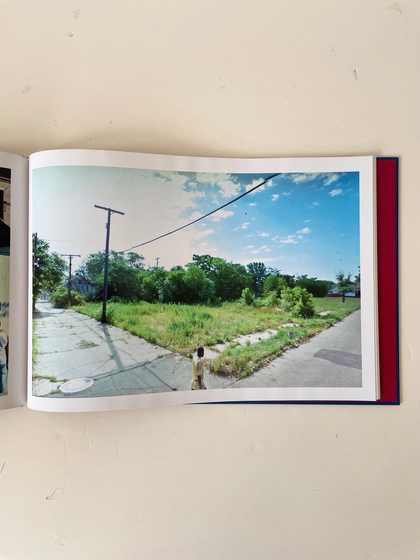 ANAP D.R. A New American Picture. (SIGNED)