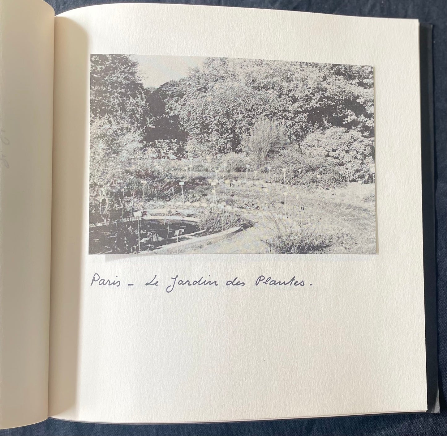 Jardins Botaniques