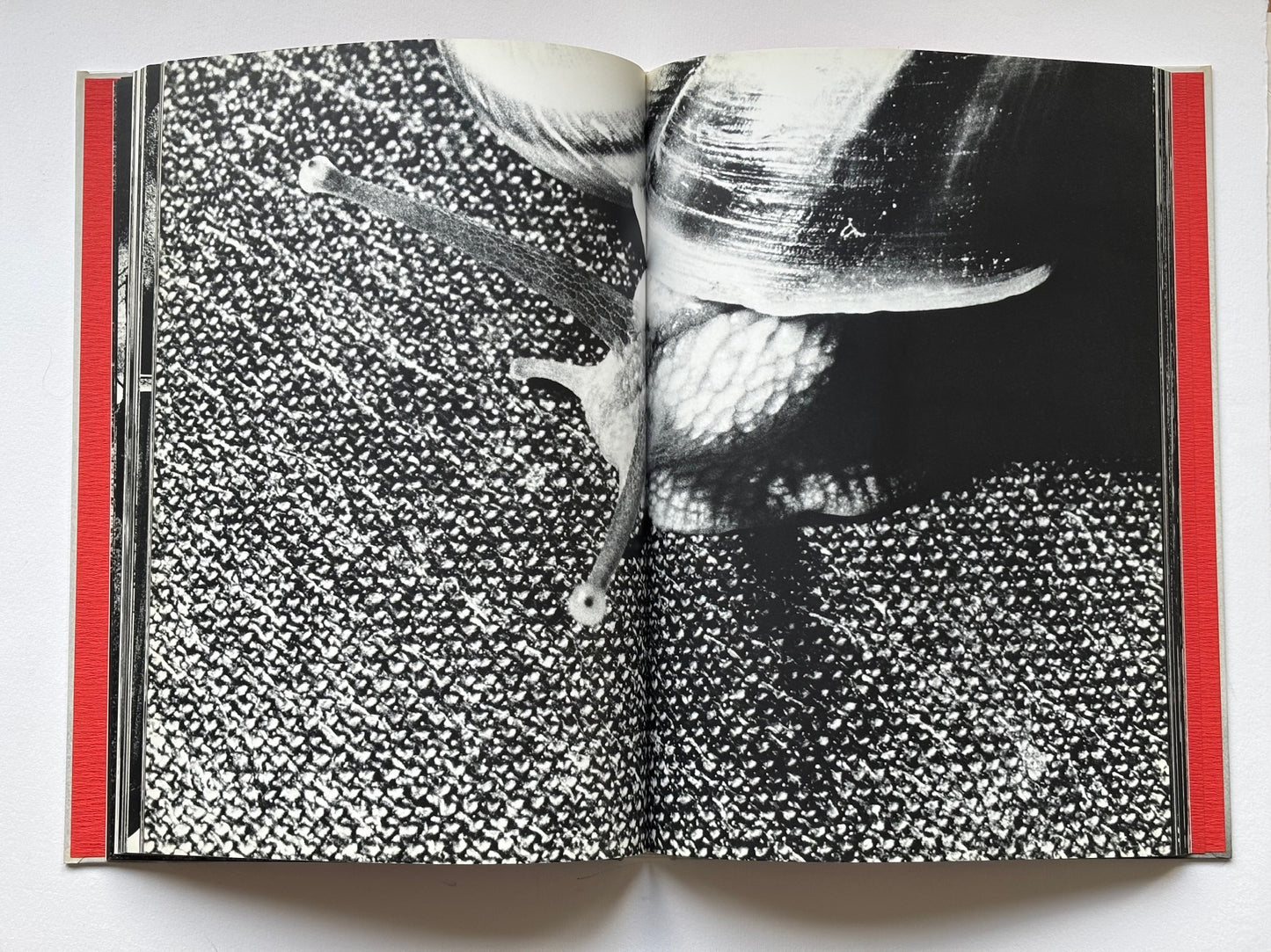 Gestation of a dream. (SIGNED)