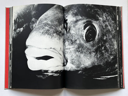 Gestation of a dream. (SIGNED)
