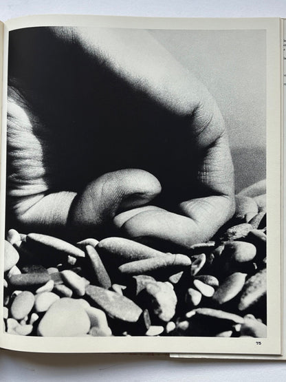 Perspectives sur le Nu