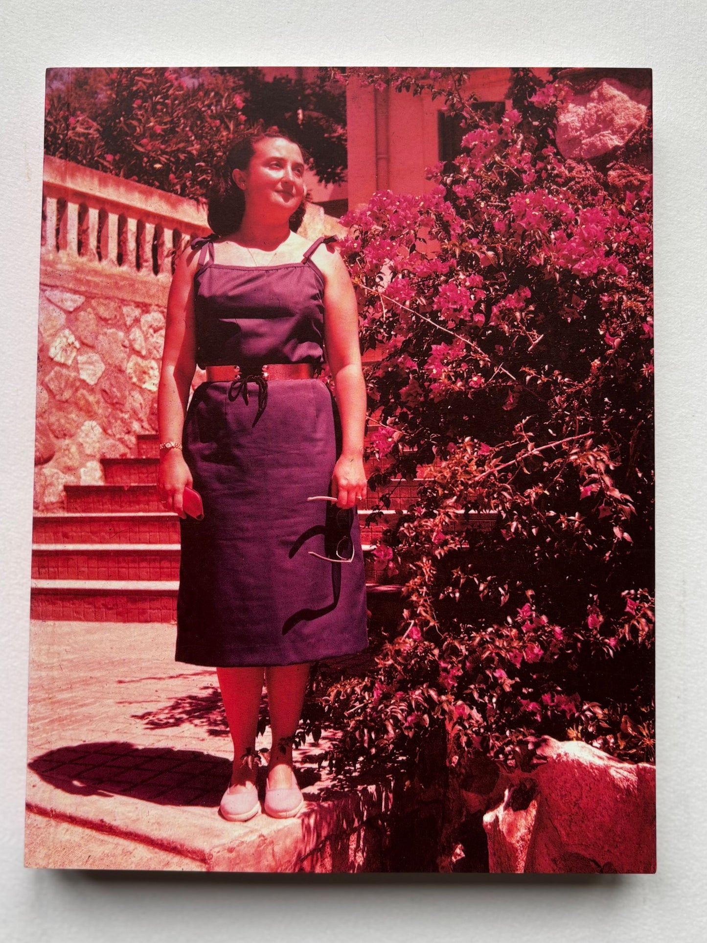 In almost every picture. The first five volumes of this series, together in a cloth slipcase.