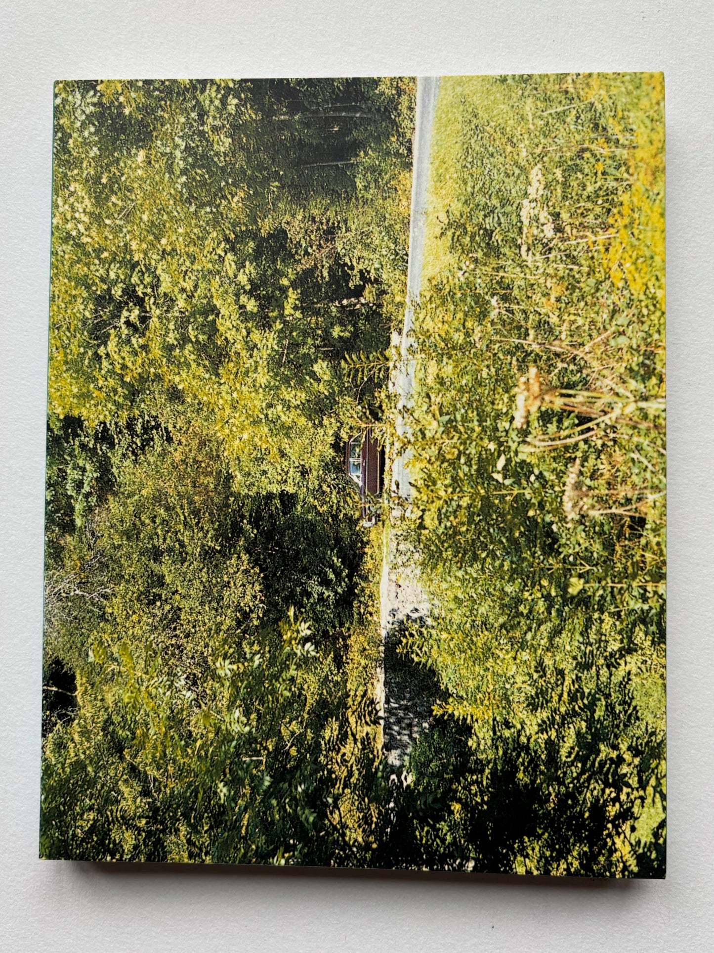 In almost every picture. The first five volumes of this series, together in a cloth slipcase.