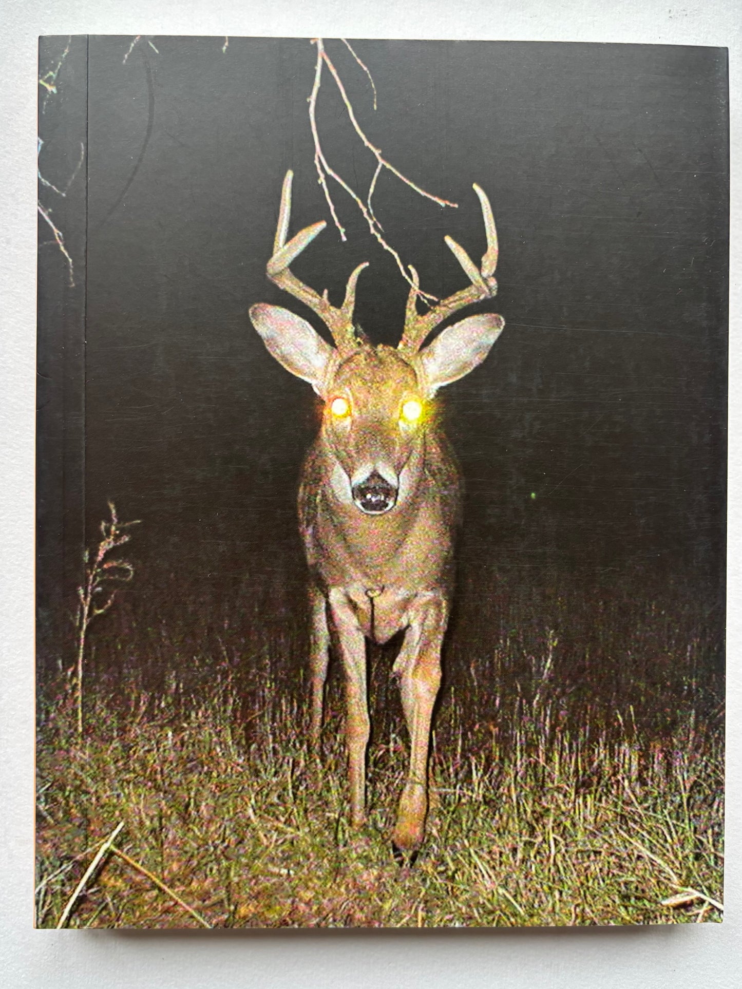 In almost every picture. The first five volumes of this series, together in a cloth slipcase.