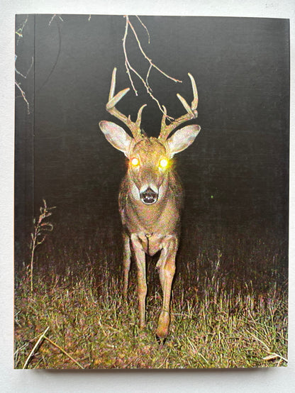 In almost every picture. The first five volumes of this series, together in a cloth slipcase.