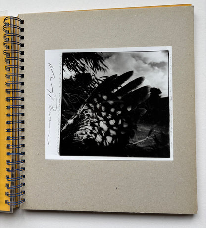 Jour et nuit. (NUMBERED “HC” COPY)