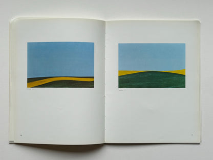 SKYLINE. Franco Fontana. Introduzione di Helmut Gernsheim.