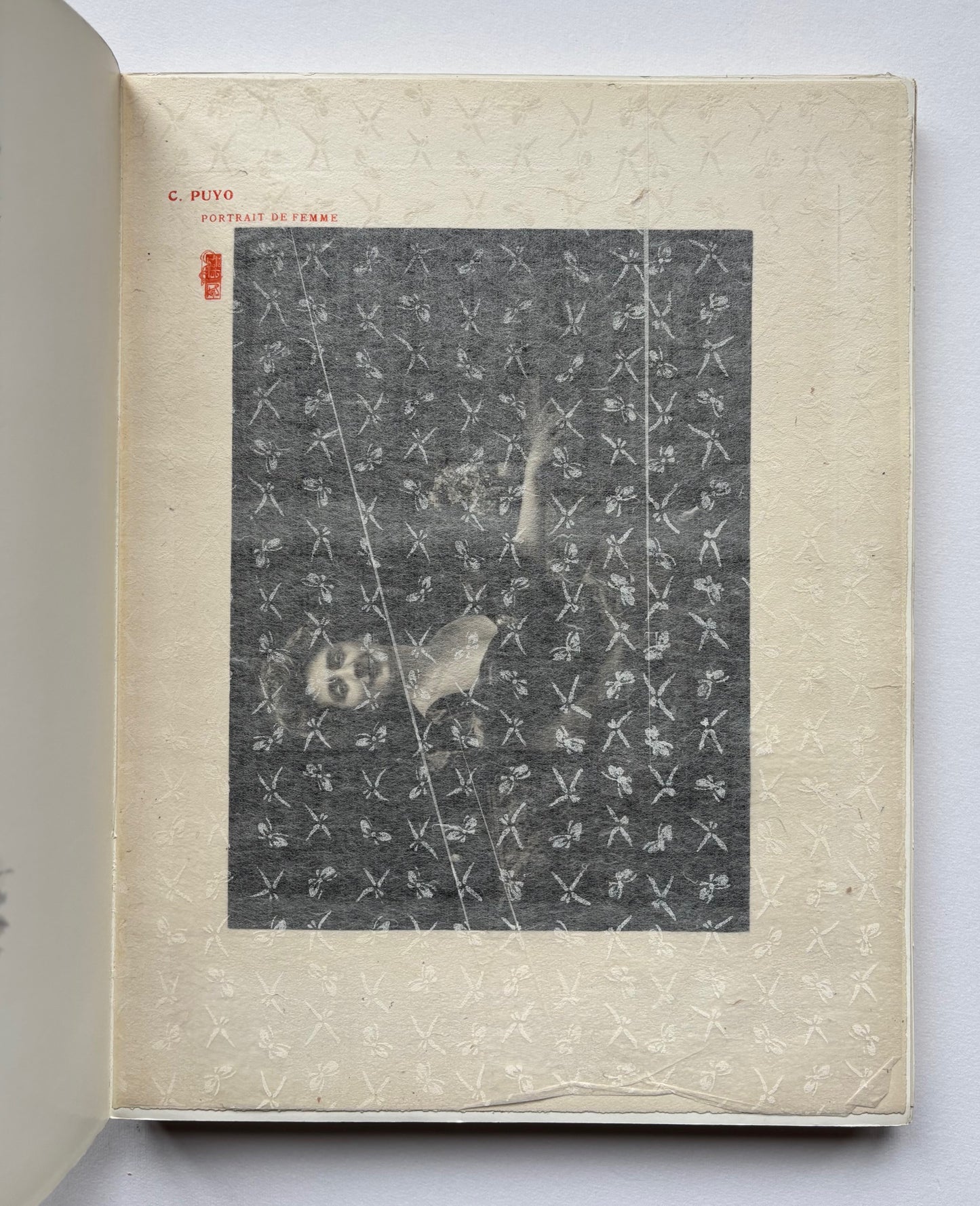 (coll.) Esthétique de la photographie