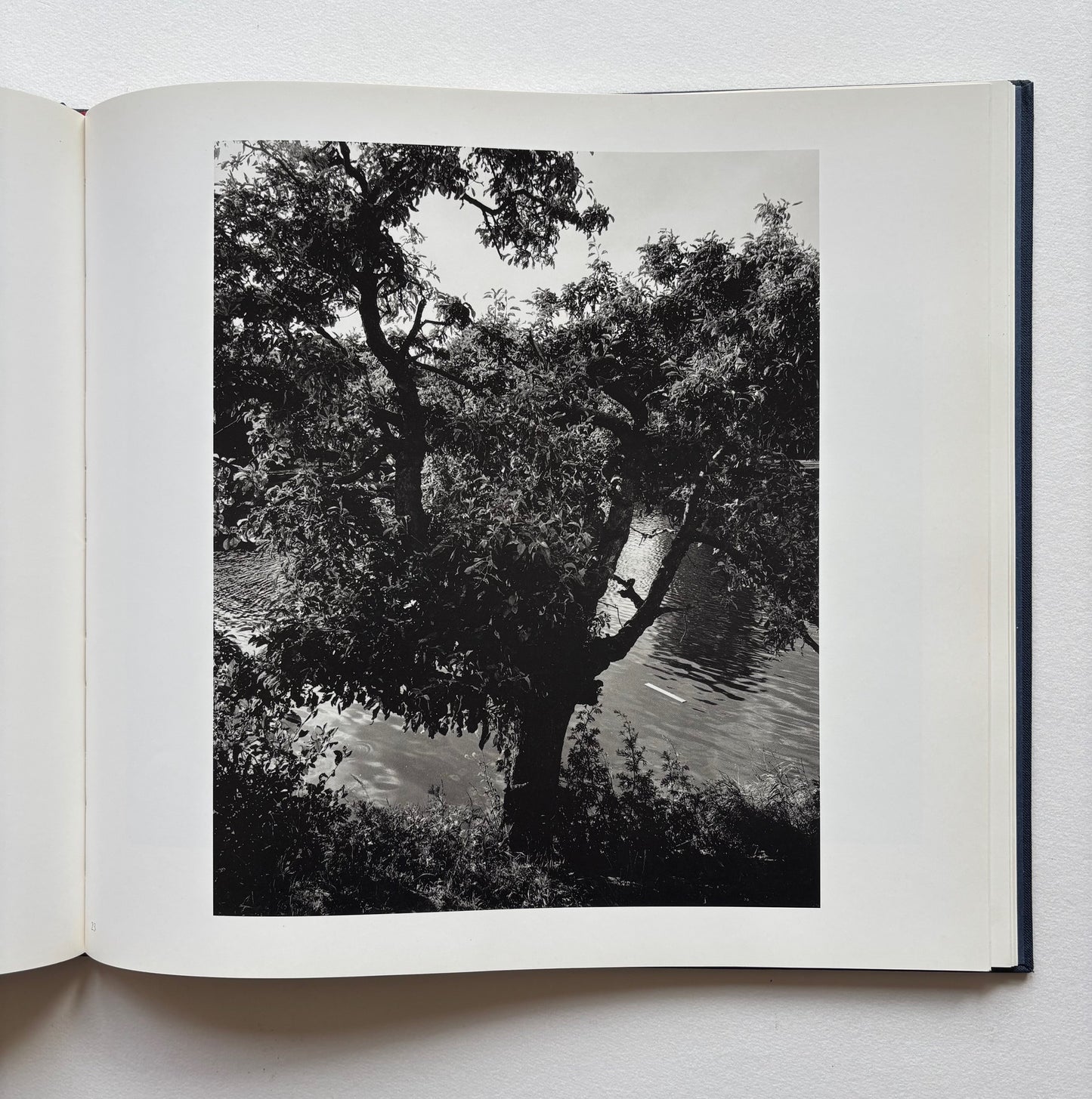 The Pond. A book of 49 photographs by John Gossage. With a essay by Denise Sines. (SIGNED)