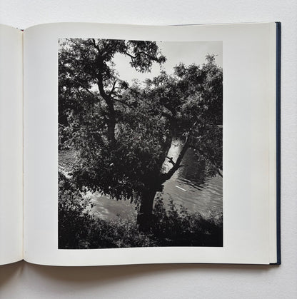 The Pond. A book of 49 photographs by John Gossage. With a essay by Denise Sines. (SIGNED)