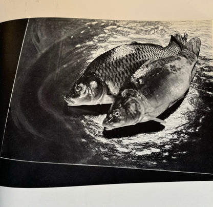 Subjektive Fotografie. Ein Bildband moderner europäischer Fotografie Un recueil de photographies modernes européennes A Collection of Modern European Photography.