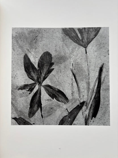 Voyage botanique. (SIGNED)