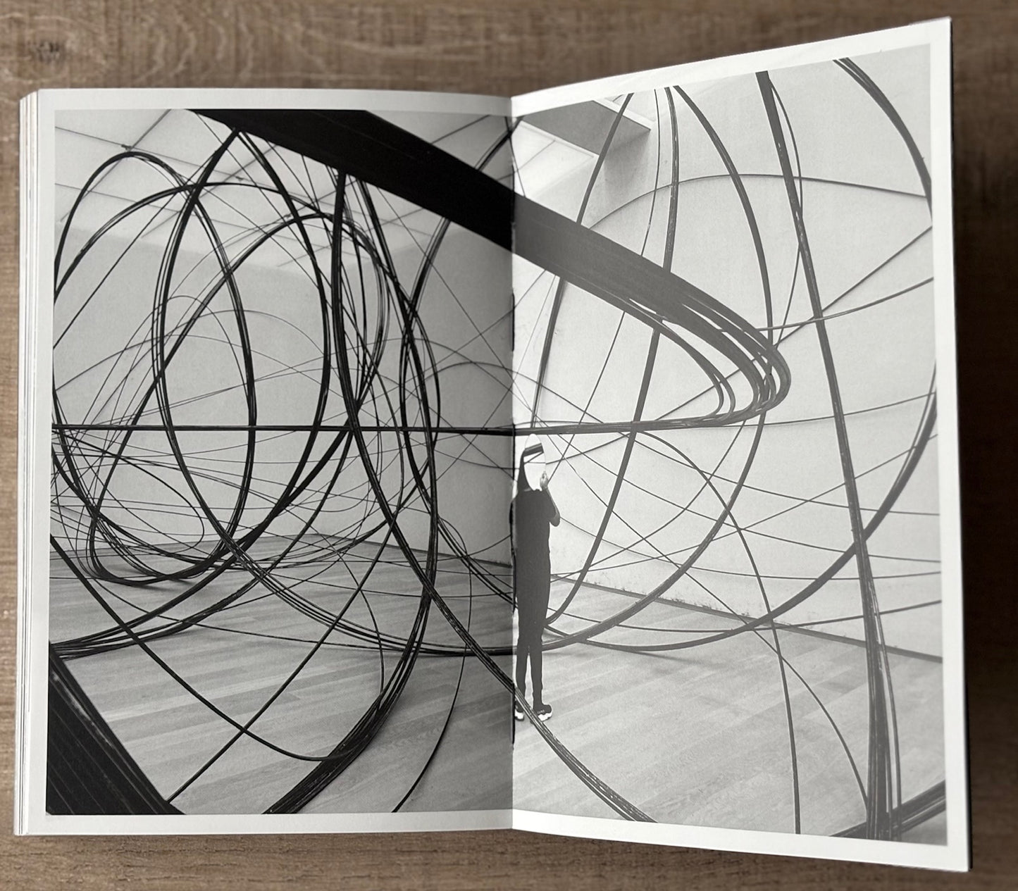 #VINCENTMENTZEL. Handpalmfotografie. (SIGNED)