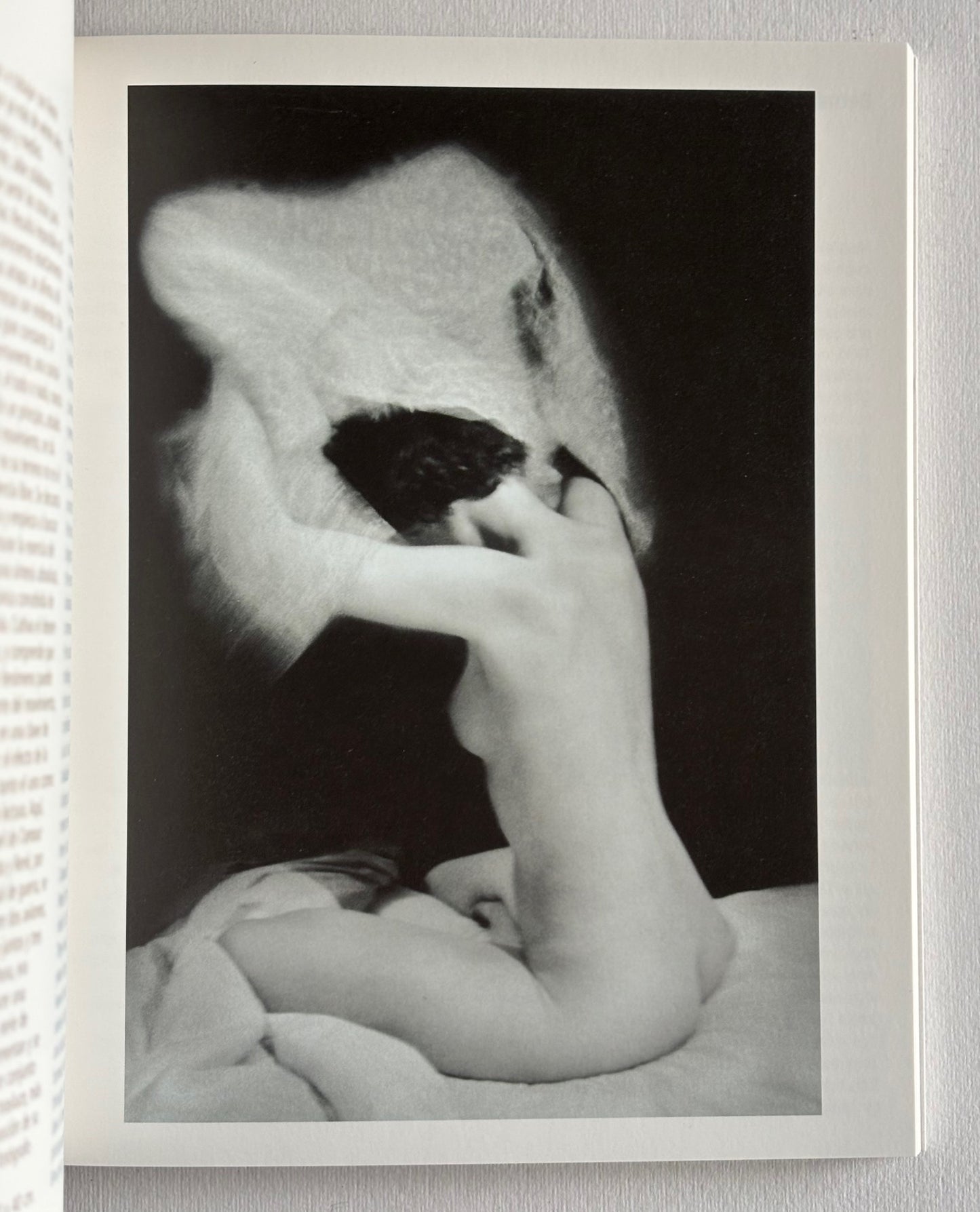 m+m & friends. (SPECIAL EDITION)