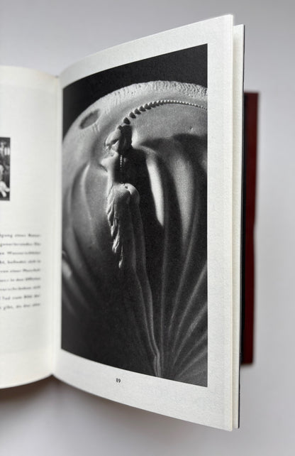 Scultura 1982-1988. (SIGNED)