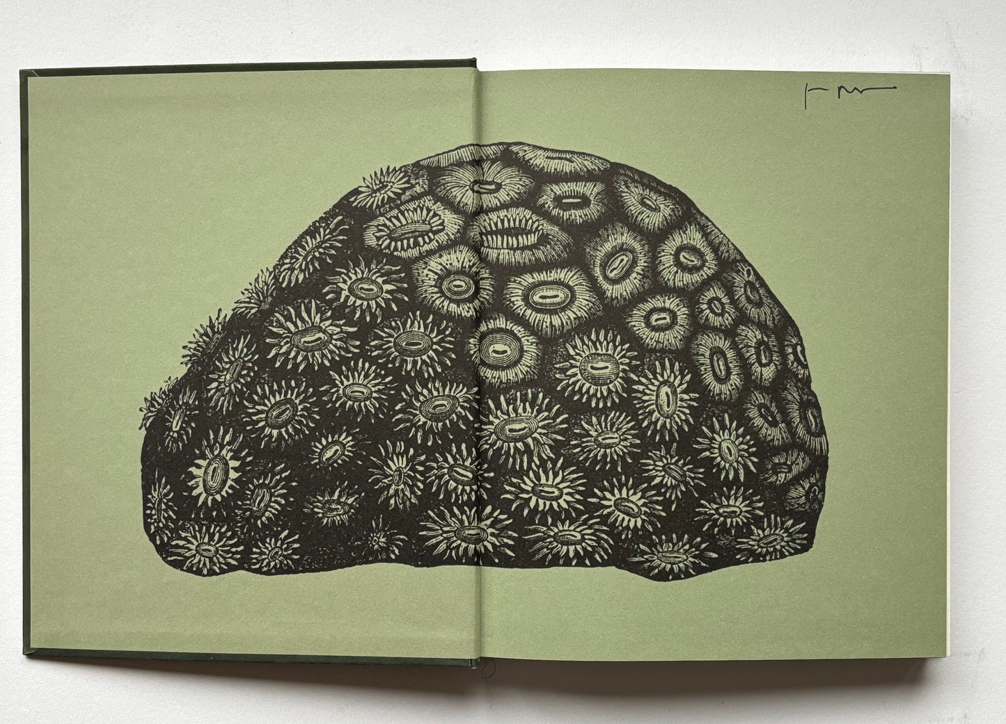The nature of photography /The photography of nature. (SIGNED)