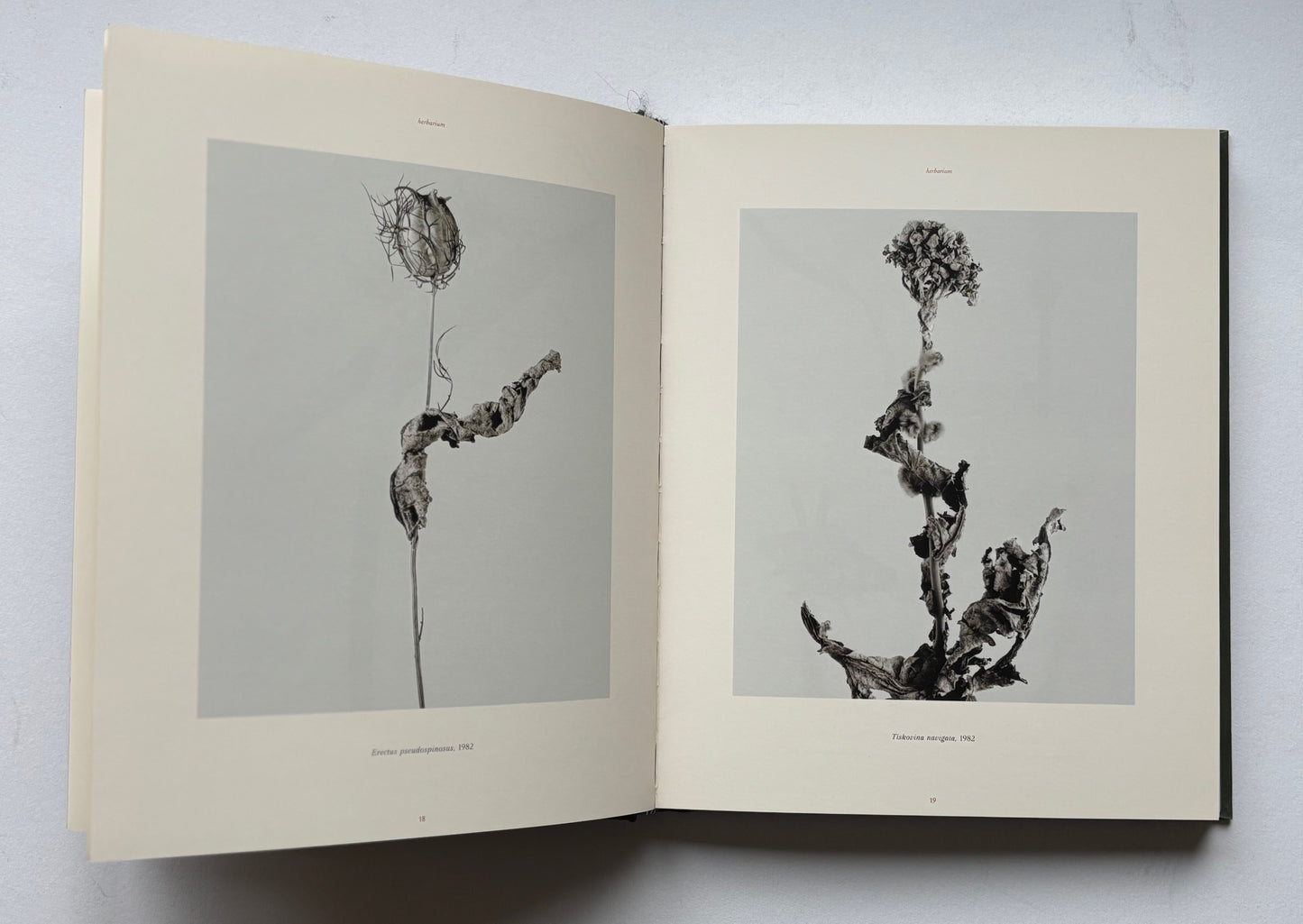 The nature of photography /The photography of nature. (SIGNED)