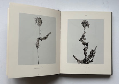 The nature of photography /The photography of nature. (SIGNED)