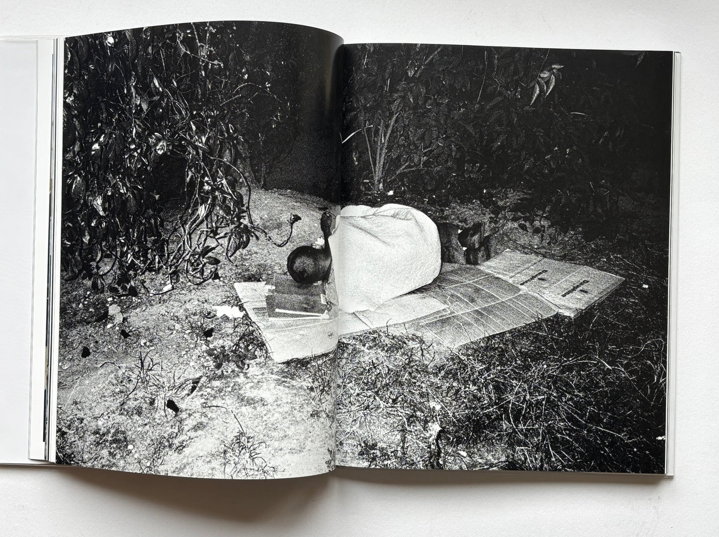 Haunts.