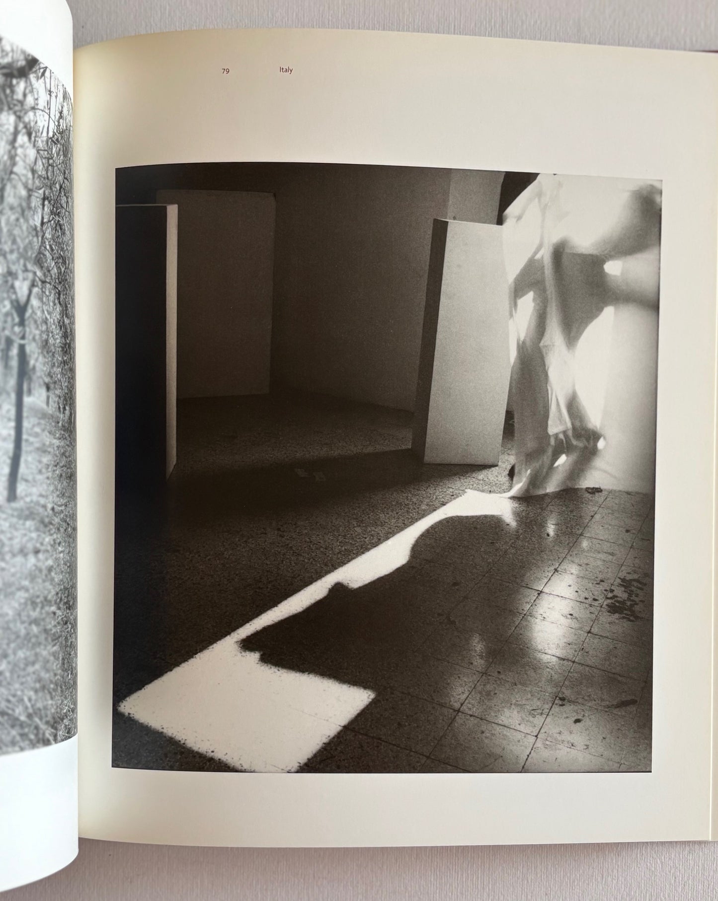 Francesca Woodman. Edited by Corey Keller. Essays by Jennifer Blessing and Julia Bryan-Wilson.