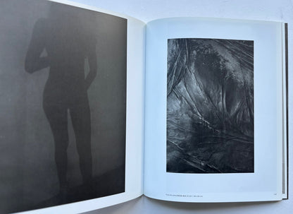 Dirk Braeckman.