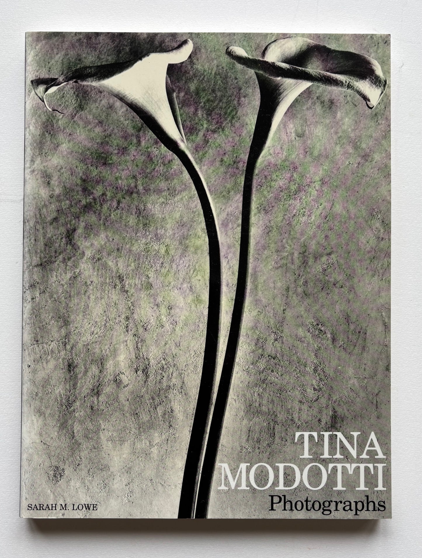 Sarah M. Lowe. TINA MODOTTI Photographs.