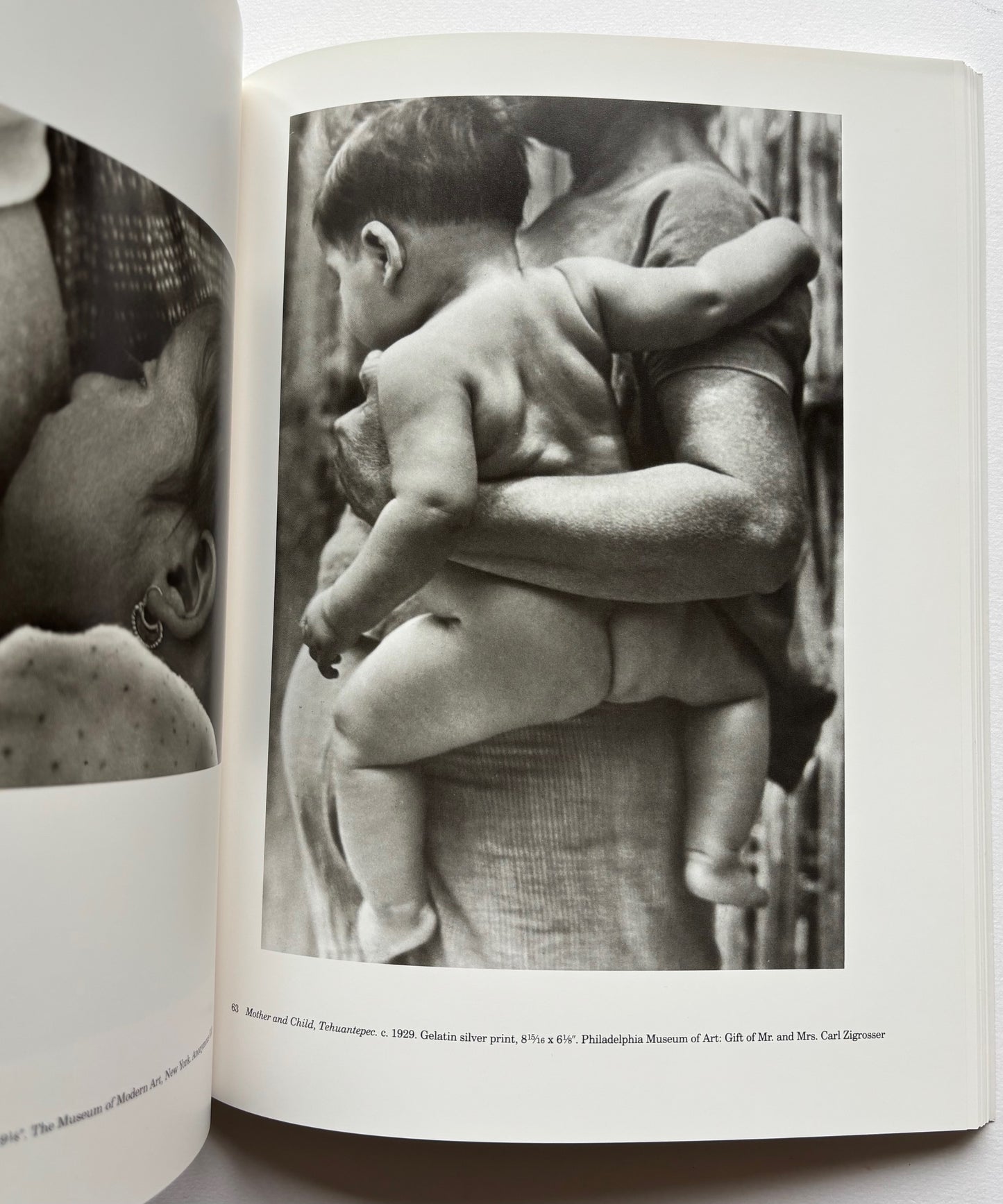 Sarah M. Lowe. TINA MODOTTI Photographs.