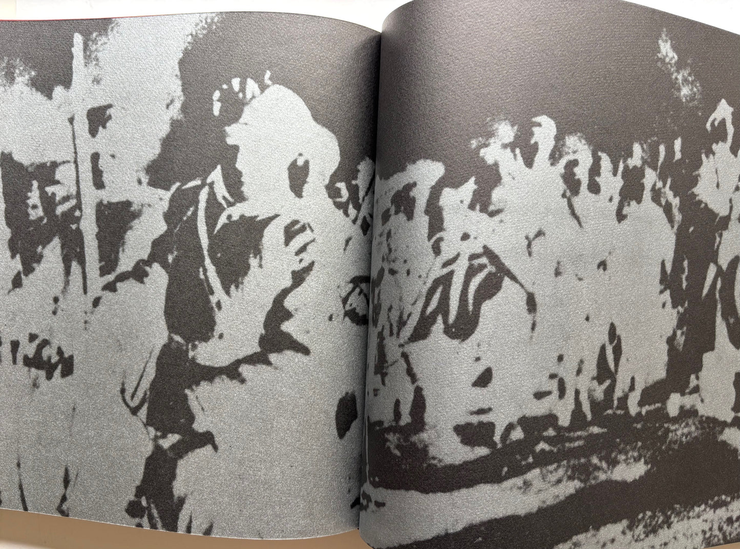 Hans Richter. Opera grafica dal 1902 al 1969.