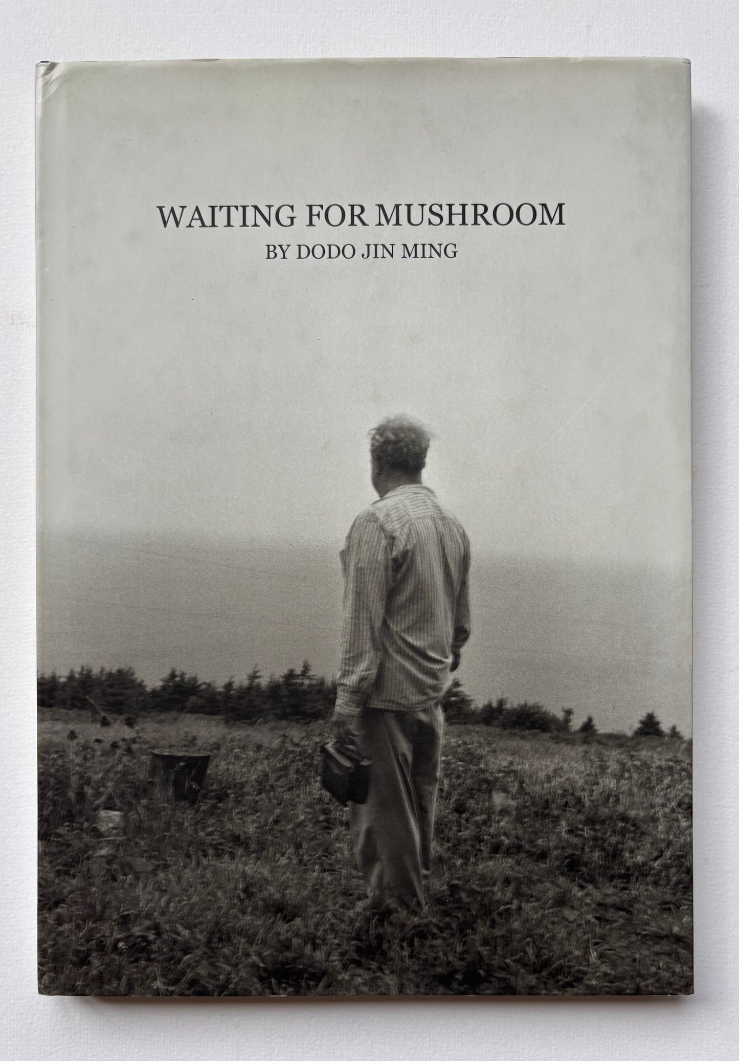 Waiting for a Mushroom.