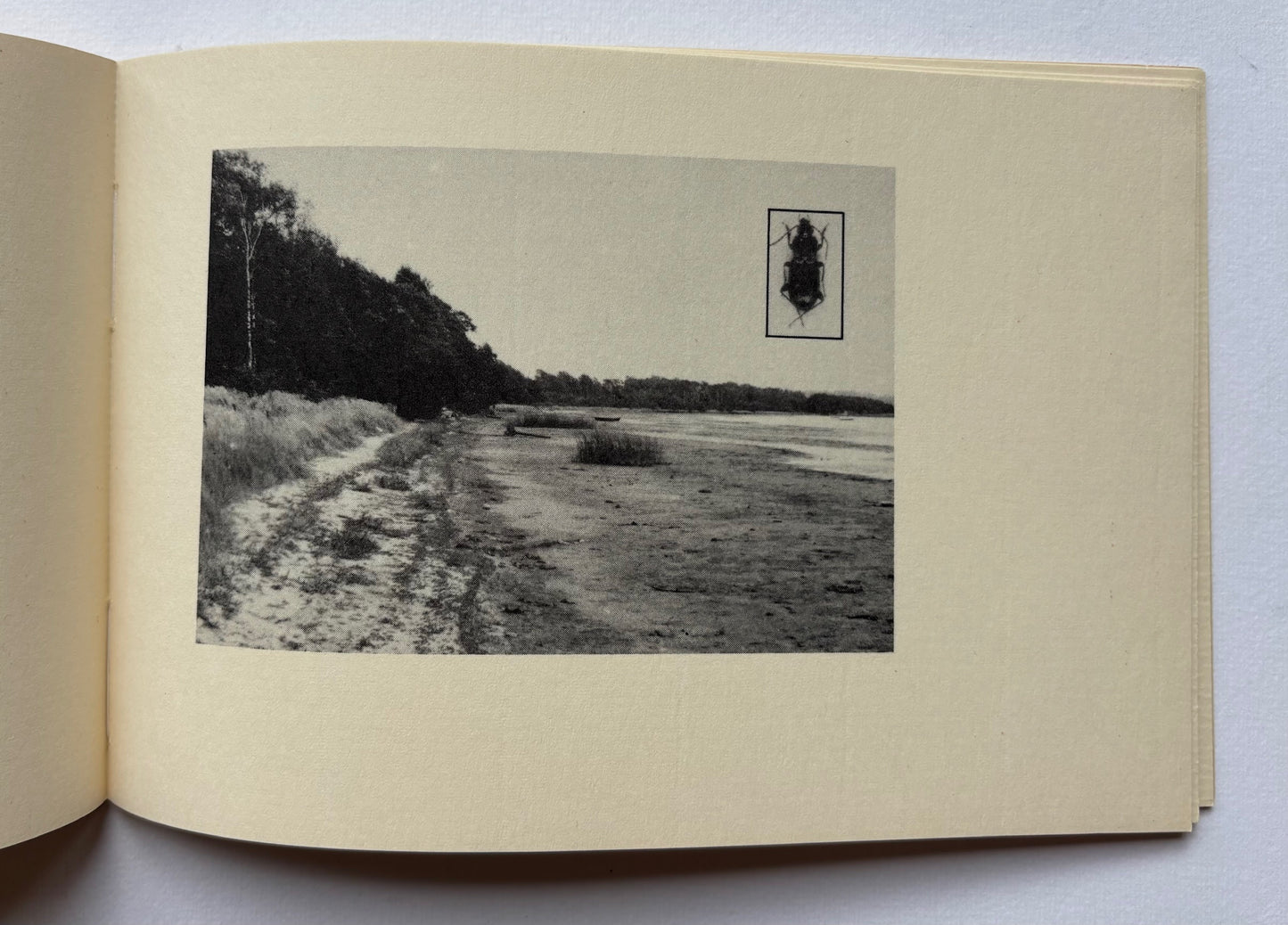 Le lac. Ringsjön. Contribution à l’étude des Lieux restreints par Paul-Armand Gette.(NUMBERED)