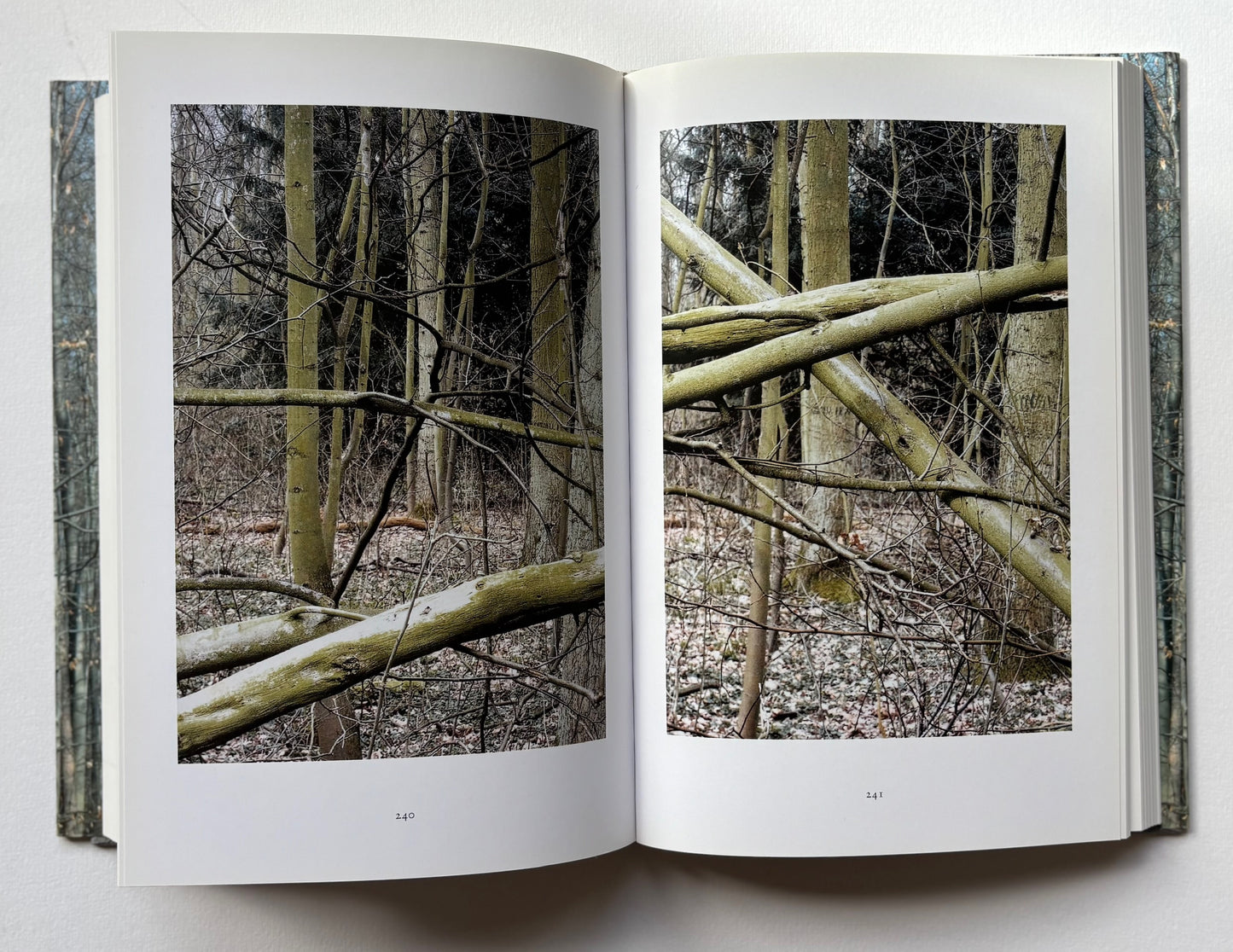 WALD.