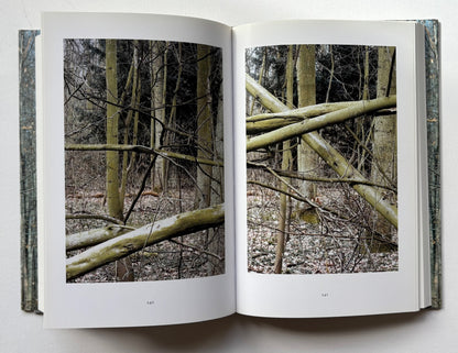 WALD.
