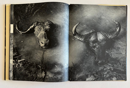 Das echte Afrika. Fotos aus Äquatorial-Afrika von Ed van der Elsken.