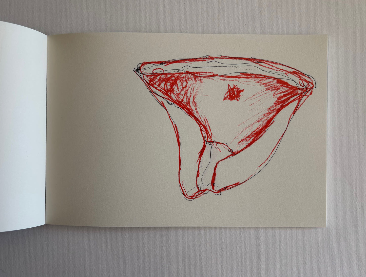 CAHIER DES DÉBORDEMENTS. Coloriages ob-scènes. (LIMITED, NUMBERED EDITION)